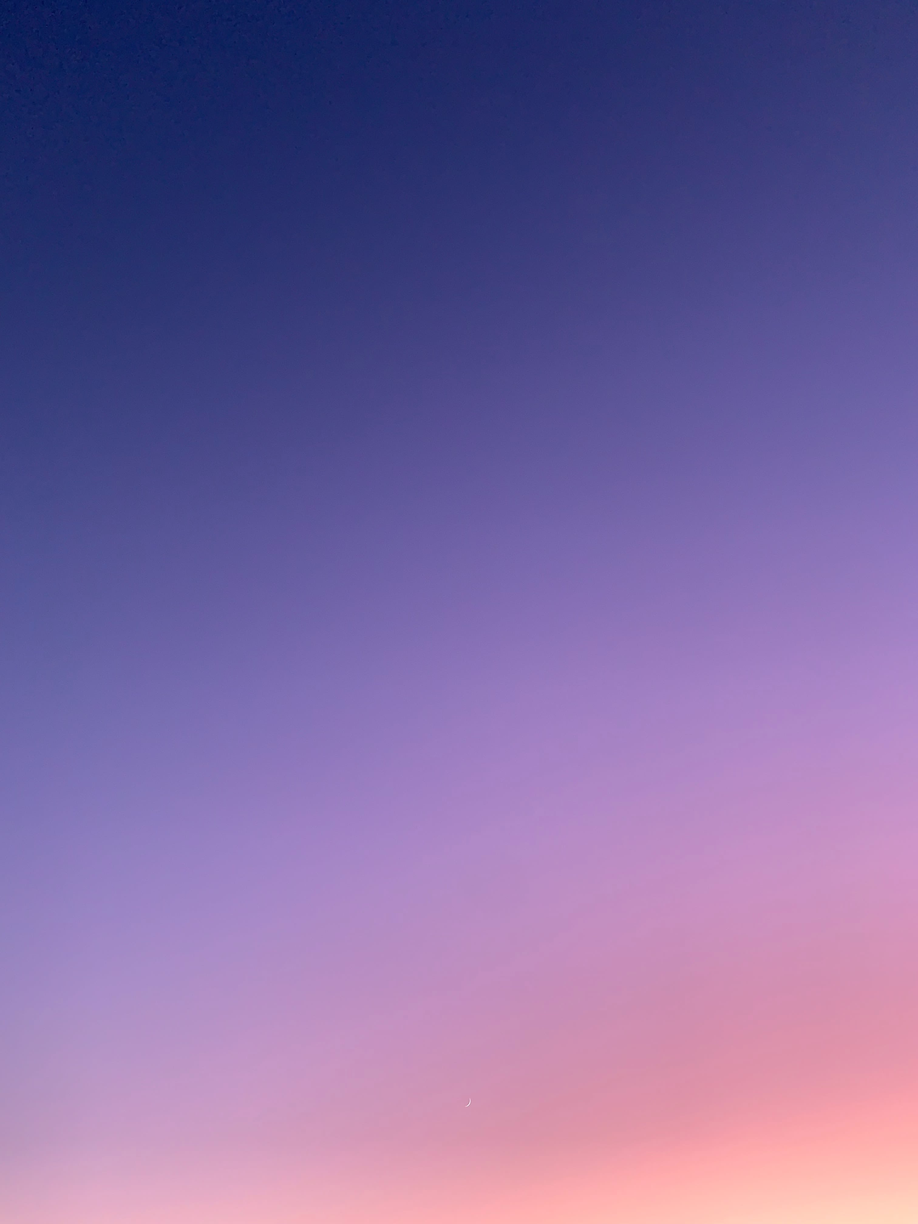 Photo by Ashley Whitlatch on Unsplash